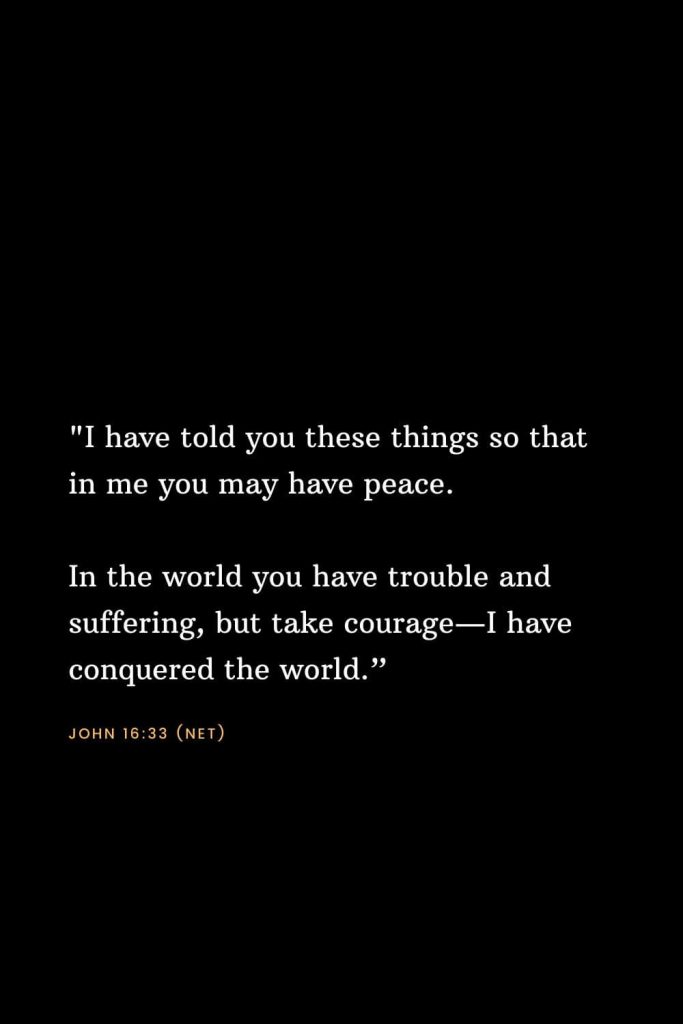 Bible Verses about Strength (13): "I have told you these things so that in me you may have peace. In the world you have trouble and suffering, but take courage—I have conquered the world.” John 16:33 (NET)