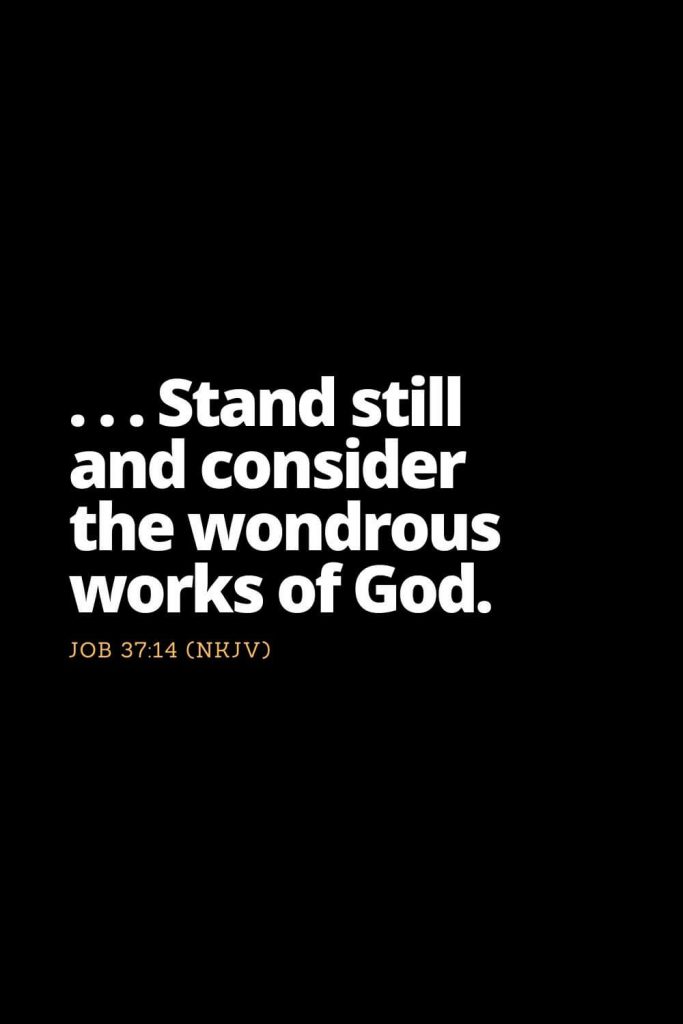 Motivational Bible Verses (27): . . . Stand still and consider the wondrous works of God. Job 37:14 (NKJV)