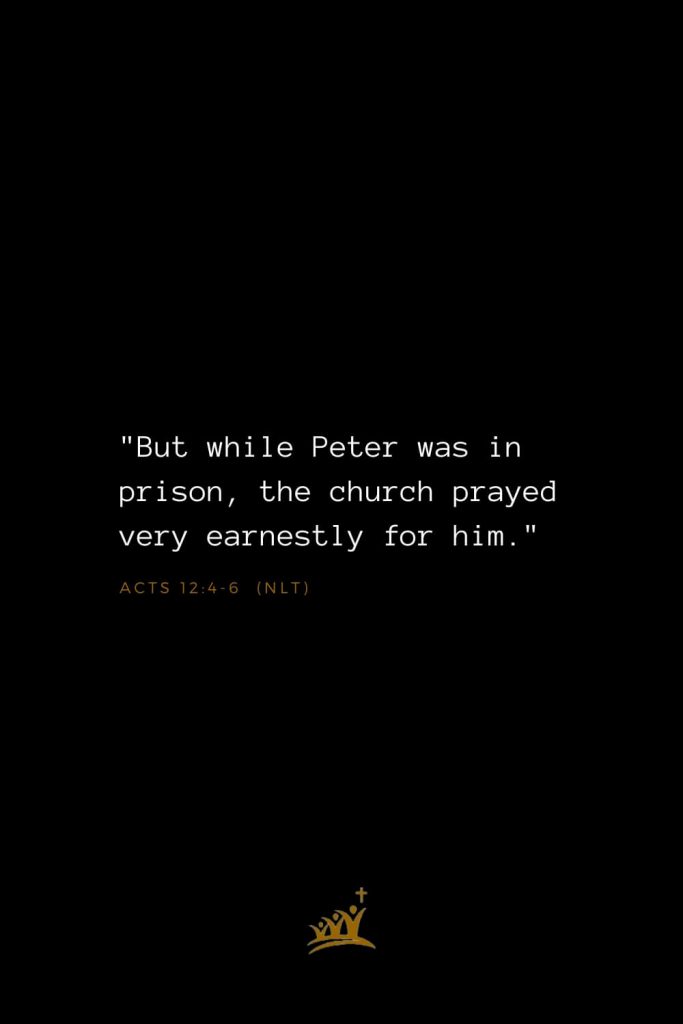 Bible Verses about Church (2): "But while Peter was in prison, the church prayed very earnestly for him." Acts 12:4-6 (NLT)