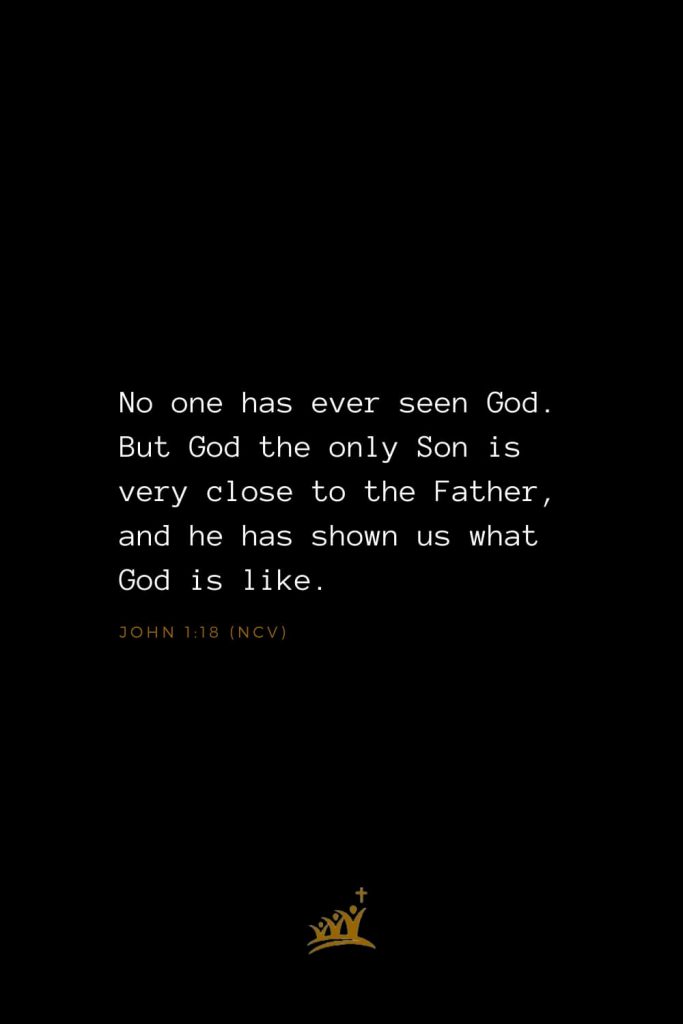 Bible Verses about God (21): No one has ever seen God. But God the only Son is very close to the Father, and he has shown us what God is like. John 1:18 (NCV)