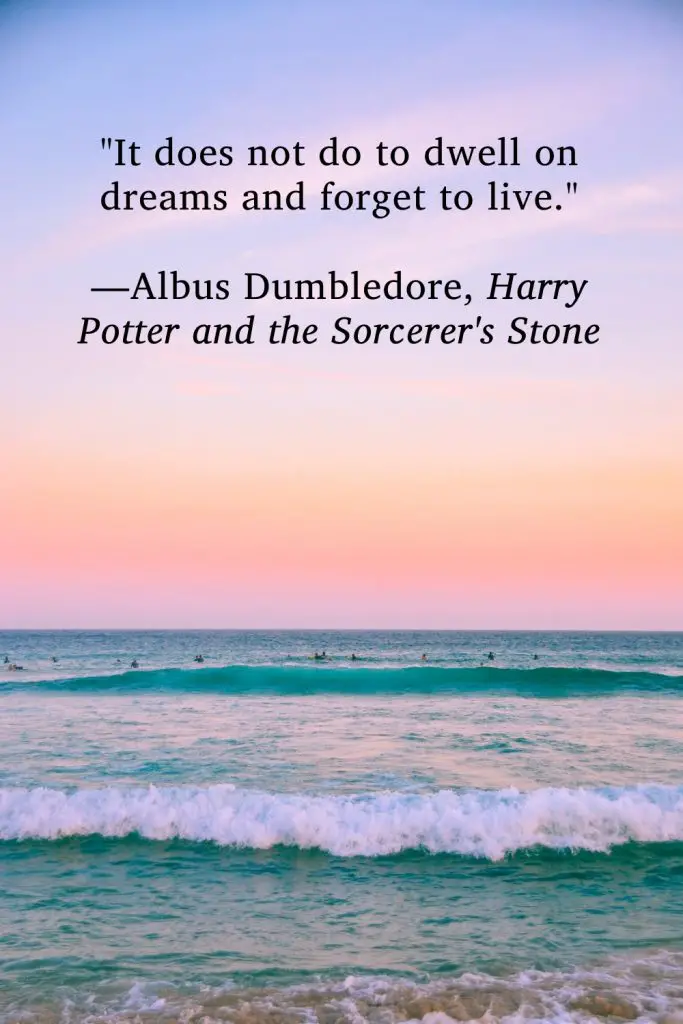 "It does not do to dwell on dreams and forget to live." —Albus Dumbledore, Harry Potter and the Sorcerer's Stone