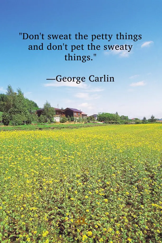 "Don't sweat the petty things and don't pet the sweaty things." —George Carlin