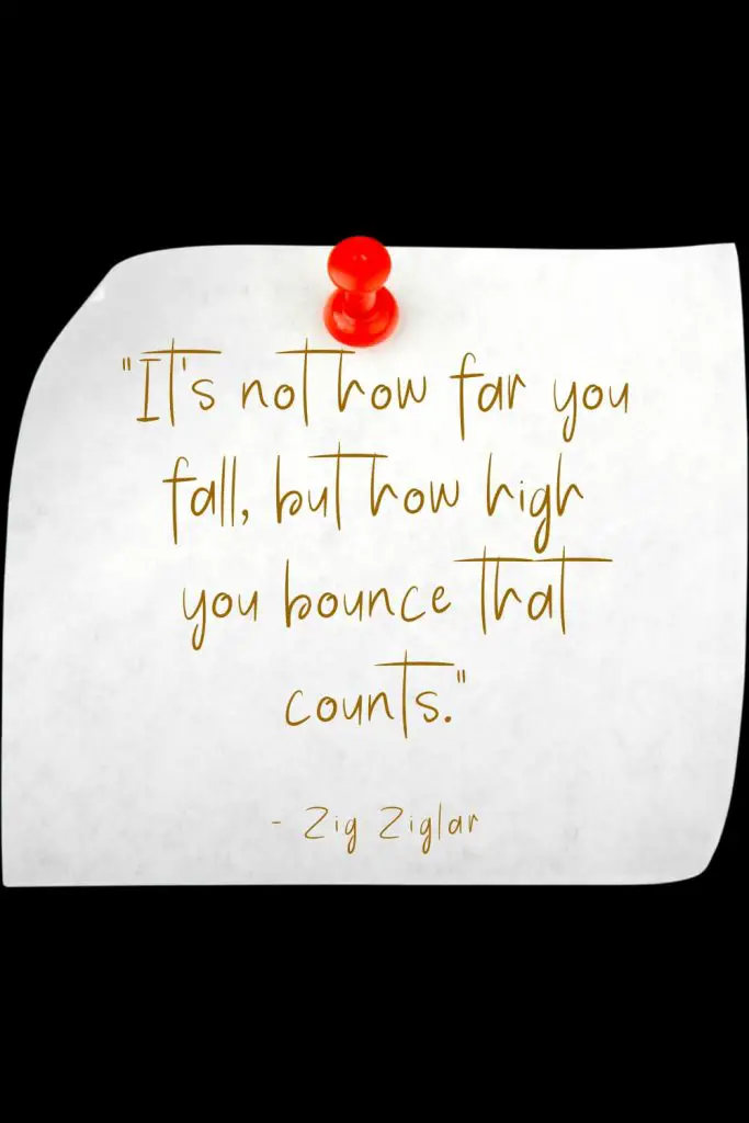 “It’s not how far you fall, but how high you bounce that counts.” - Zig Ziglar
