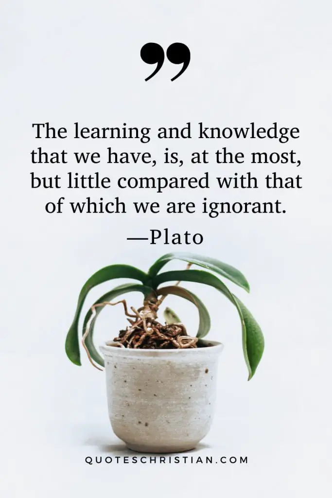 Quotes By Plato: The learning and knowledge that we have, is, at the most, but little compared with that of which we are ignorant.