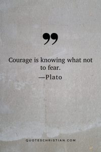 152 Famous Plato Quotes to Freshen Up your Life Philosophy