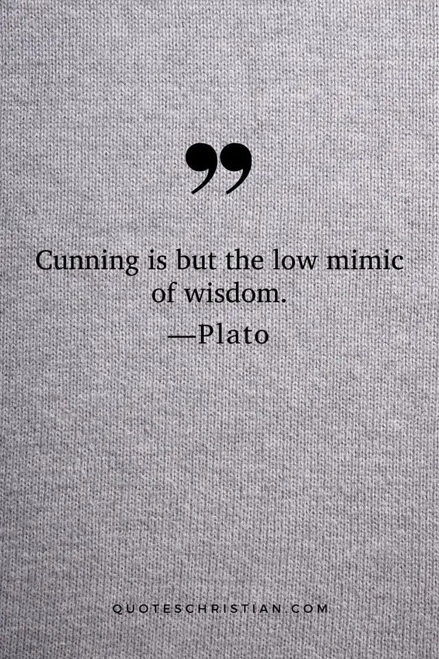Quotes By Plato: Cunning is but the low mimic of wisdom.