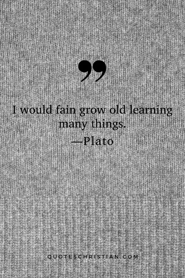 Quotes By Plato: I would fain grow old learning many things.