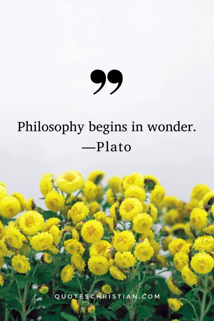 Quotes By Plato: Philosophy begins in wonder.