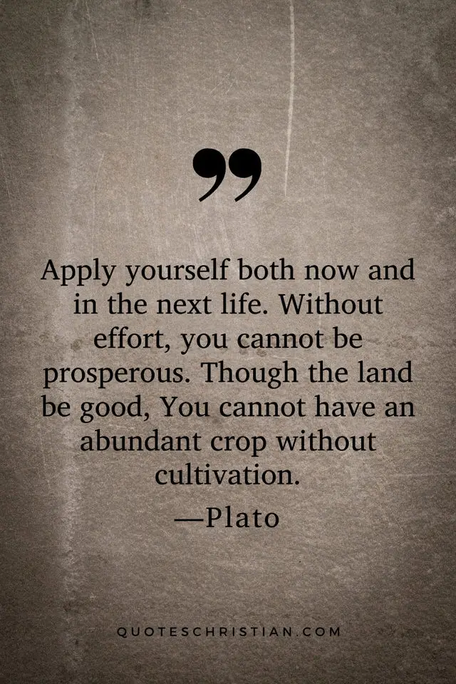 Quotes By Plato: Apply yourself both now and in the next life. Without effort, you cannot be prosperous. Though the land be good, You cannot have an abundant crop without cultivation.
