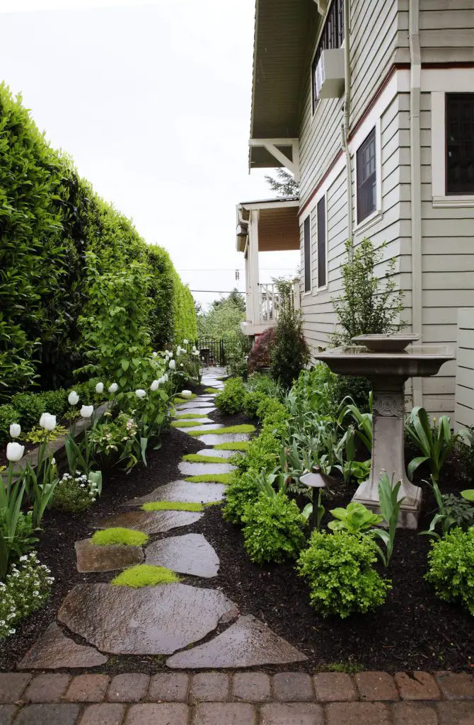 Ideas to Perk Up Side Yard (20)