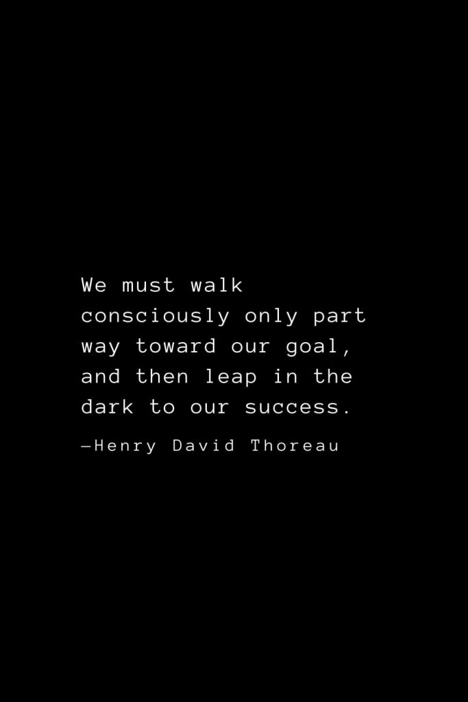 We must walk consciously only part way toward our goal, and then leap in the dark to our success. — Henry David Thoreau