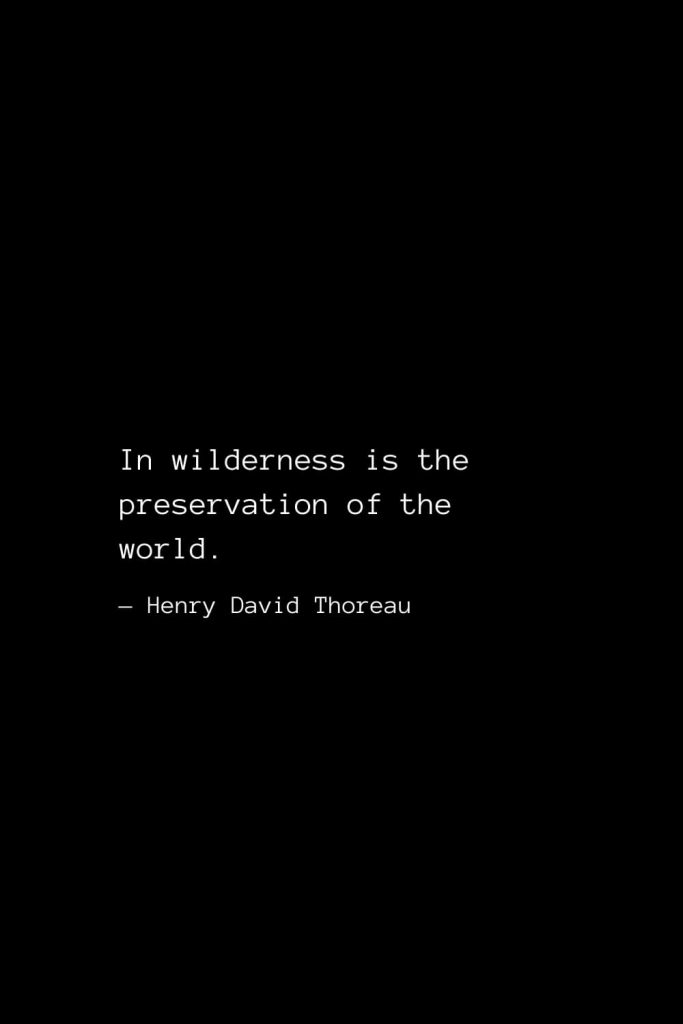 In wilderness is the preservation of the world. — Henry David Thoreau