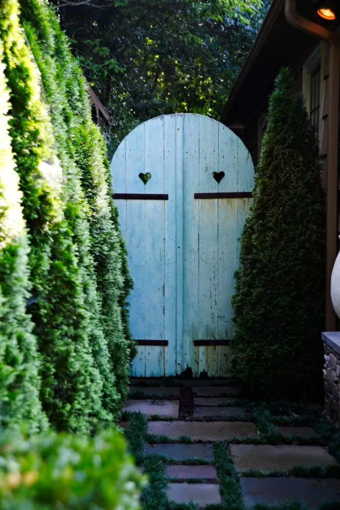 This antique gate with two cutout hearts is nestled between the soft foliage of ‘Emerald Green’ arborvitae. The garden was designed Troy Rhone Garden Design.